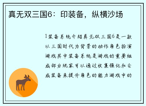 真无双三国6：印装备，纵横沙场
